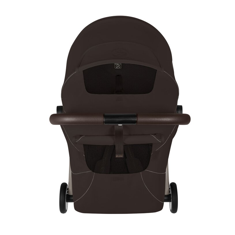 chocolate brown