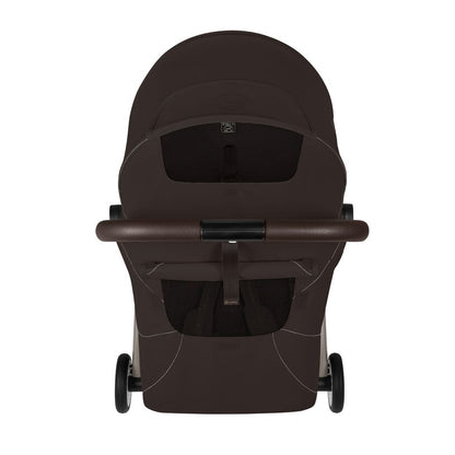 chocolate brown